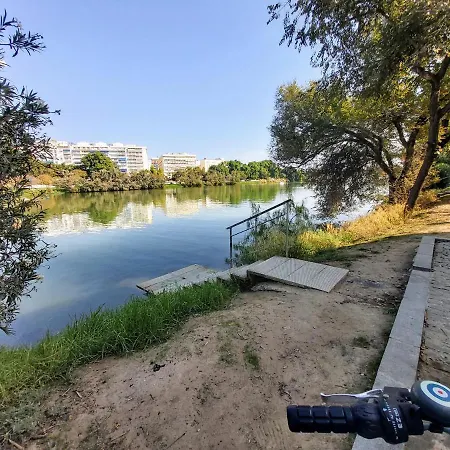 Triana Procurador Con Terraza Privada *